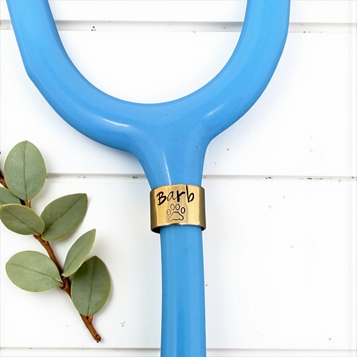Paw Print Stethoscope ID Tag