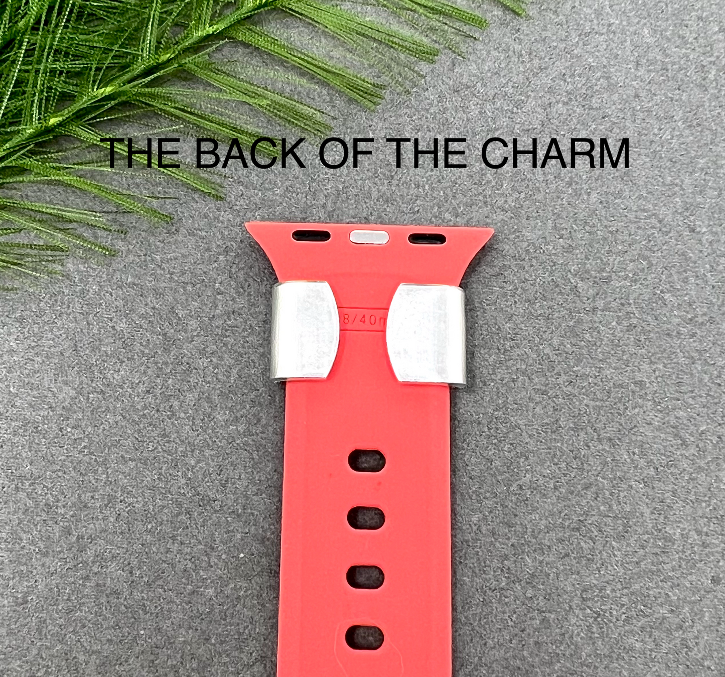 Type 1 Diabetic Watch Charm