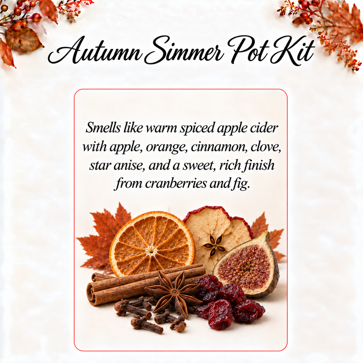 Autumn Simmer Pot Kit