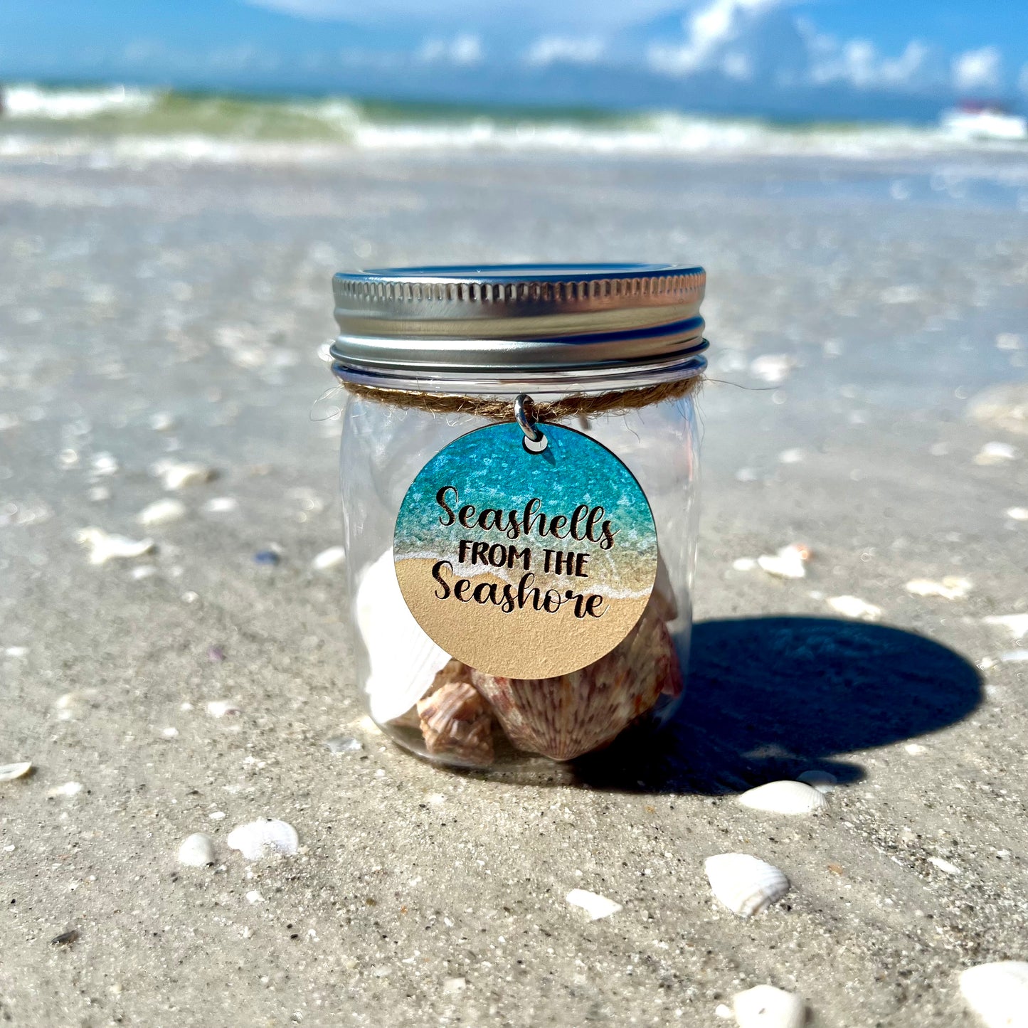 Seashells From The Seashore Seashell Collection Jar