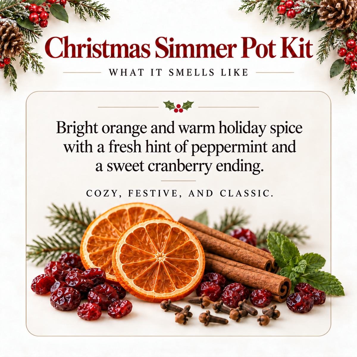 Christmas Simmer Pot Kit
