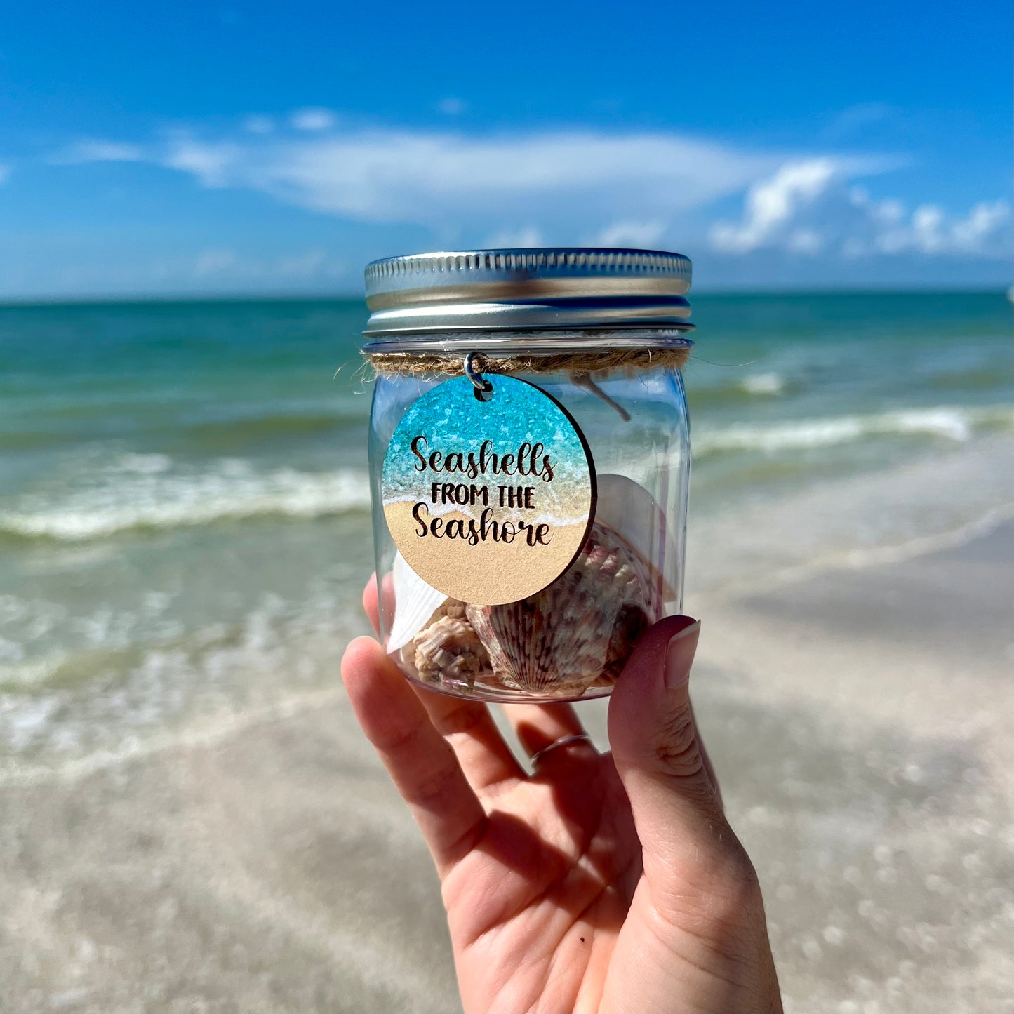 Seashells From The Seashore Seashell Collection Jar