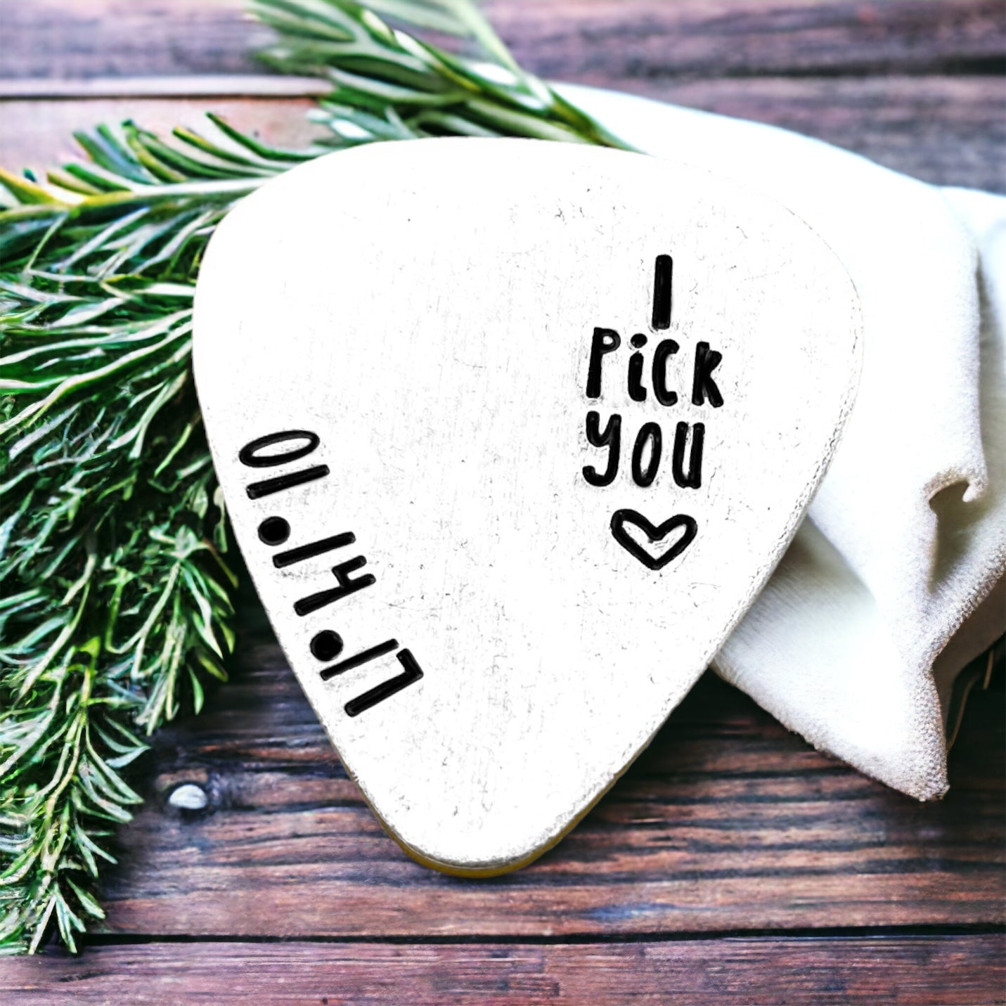 I Pick You Guitar Pick